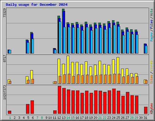 Daily usage for December 2024