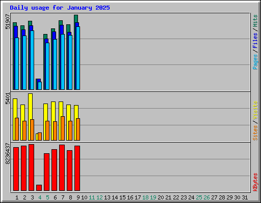 Daily usage for January 2025