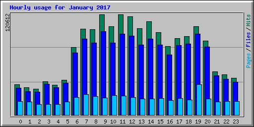 Hourly usage for January 2017