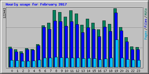 Hourly usage for February 2017