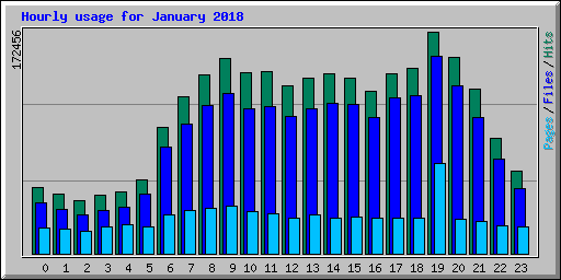 Hourly usage for January 2018