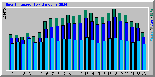 Hourly usage for January 2020