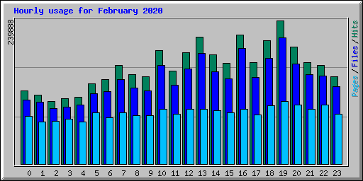 Hourly usage for February 2020