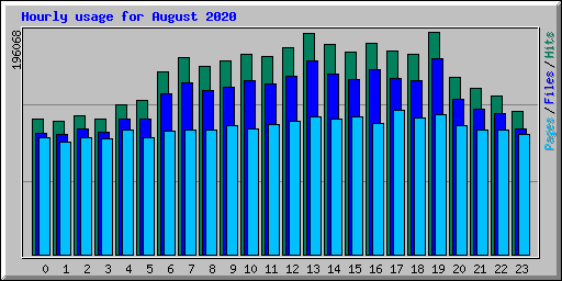 Hourly usage for August 2020