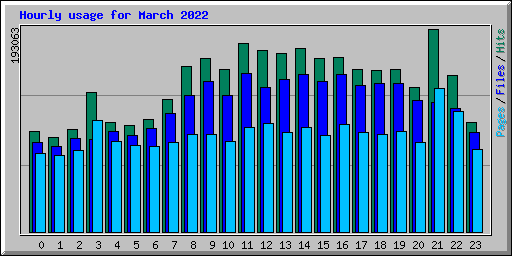 Hourly usage for March 2022