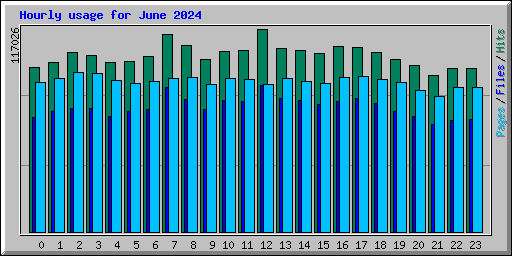 Hourly usage for June 2024