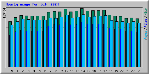 Hourly usage for July 2024