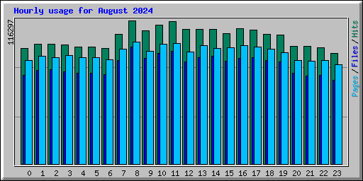 Hourly usage for August 2024