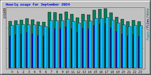 Hourly usage for September 2024