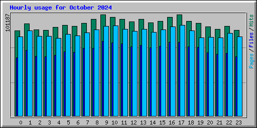 Hourly usage for October 2024