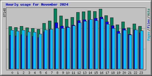 Hourly usage for November 2024