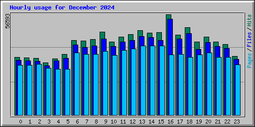 Hourly usage for December 2024