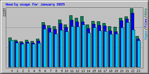 Hourly usage for January 2025